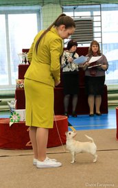 33.jpg (66.66 КБ, Просмотров: 5634) 33.jpg