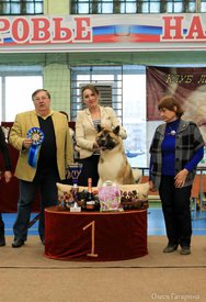 36.jpg (84.57 КБ, Просмотров: 4553) 36.jpg