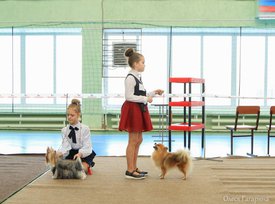 37.jpg (154.69 КБ, Просмотров: 4565) 37.jpg