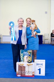 28660299_1703063446426500_2051112923838457068_n.jpg (60.69 КБ, Просмотров: 17059) 28660299_1703063446426500_2051112923838457068_n.jpg