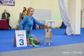 AFT_9368.jpg (968.88 КБ, Просмотров: 16470) AFT_9368.jpg