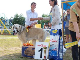 a4b63469e191.jpg (53.7 КБ, Просмотров: 2432) a4b63469e191.jpg