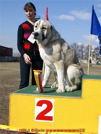 b383ab05d57c.jpg (61.05 КБ, Просмотров: 2418) b383ab05d57c.jpg
