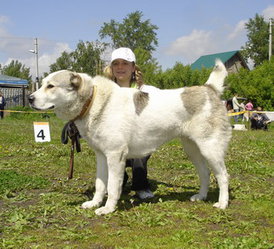 Байгуш мать Шейха.jpg (57.75 КБ, Просмотров: 2418) Байгуш мать Шейха.jpg