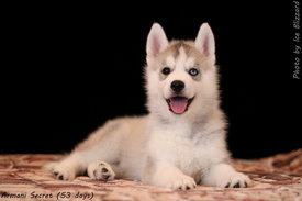 0_e5f67_3e61432e_XL.jpg (74.82 КБ, Просмотров: 10023) 0_e5f67_3e61432e_XL.jpg