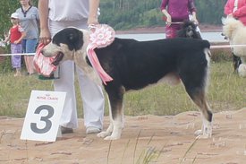 202KDLc.jpg (67.36 КБ, Просмотров: 2429) 202KDLc.jpg