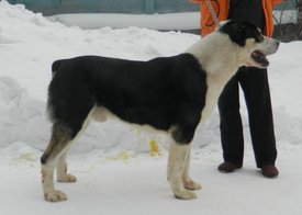 Мэлл.JPG (148.11 КБ, Просмотров: 2522) Мэлл.JPG