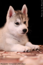 0_e603b_992a3a7_XL.jpg (89.55 КБ, Просмотров: 10023) 0_e603b_992a3a7_XL.jpg