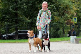 negPDyWW7tI.jpg (242.61 КБ, Просмотров: 13598) negPDyWW7tI.jpg