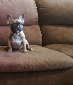 IMG_20180319_131729.jpg (148.96 КБ, Просмотров: 2096) IMG_20180319_131729.jpg