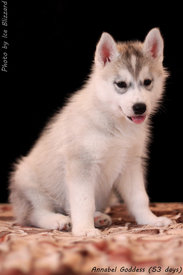 0_e619e_90b377b4_XL.jpg (94.53 КБ, Просмотров: 10023) 0_e619e_90b377b4_XL.jpg