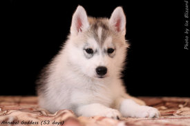 0_e6194_ffdddf5a_XL.jpg (79.43 КБ, Просмотров: 10223) 0_e6194_ffdddf5a_XL.jpg