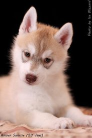 1450143_562710390470331_976910385_n.jpg (27.92 КБ, Просмотров: 10593) 1450143_562710390470331_976910385_n.jpg