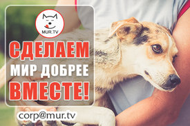 3 (21).jpg (220.3 КБ, Просмотров: 3689) 3 (21).jpg