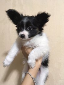 gs2b5jtBOtU.jpg (104.79 КБ, Просмотров: 1523) gs2b5jtBOtU.jpg