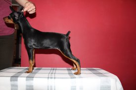 203.jpg (154.14 КБ, Просмотров: 2533) 203.jpg