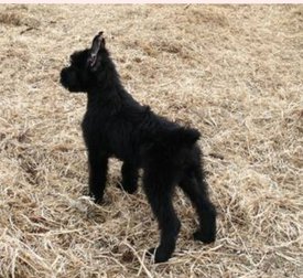 IMG_20180423_111339.jpg (242.73 КБ, Просмотров: 2388) IMG_20180423_111339.jpg