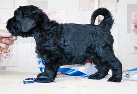 с.jpg (94.43 КБ, Просмотров: 2045) с.jpg