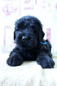 ссс.jpg (51.31 КБ, Просмотров: 1919) ссс.jpg