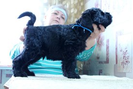 сс.jpg (126.23 КБ, Просмотров: 1919) сс.jpg