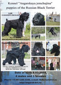 31172115_1959289754095119_4068298455628382208_n.jpg (139.05 КБ, Просмотров: 1919) 31172115_1959289754095119_4068298455628382208_n.jpg