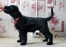 кк.jpg (278.35 КБ, Просмотров: 2044) кк.jpg