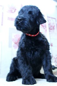 к.jpg (54.89 КБ, Просмотров: 1918) к.jpg