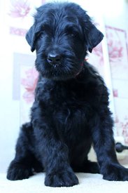 кккк.jpg (55.43 КБ, Просмотров: 1918) кккк.jpg