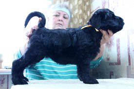 о.jpg (136.07 КБ, Просмотров: 2044) о.jpg