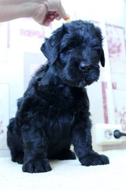 оо.jpg (51.35 КБ, Просмотров: 2044) оо.jpg