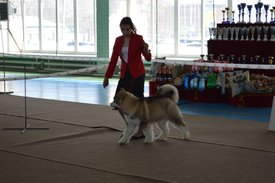 230997F4-6EFD-47ED-B0D2-A7971B14094D.jpeg (168.48 КБ, Просмотров: 10586) 230997F4-6EFD-47ED-B0D2-A7971B14094D.jpeg