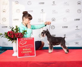 B6BA634F-2DC7-4C36-B03C-887327F276D4.jpeg (174.57 КБ, Просмотров: 11321) B6BA634F-2DC7-4C36-B03C-887327F276D4.jpeg