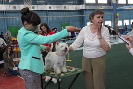 C332A947-8910-468A-A430-908FC63CDAFC.jpeg (188.24 КБ, Просмотров: 11307) C332A947-8910-468A-A430-908FC63CDAFC.jpeg