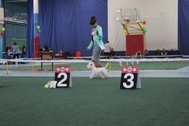 2065321E-9F35-4A52-9350-333CBB819C42.jpeg (171.27 КБ, Просмотров: 10630) 2065321E-9F35-4A52-9350-333CBB819C42.jpeg