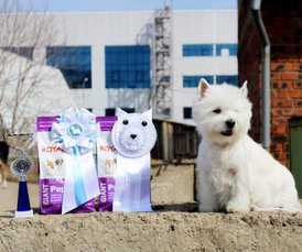 F59AA8E7-AA9E-42D6-86DF-C08FB4E9192F.jpeg (219.64 КБ, Просмотров: 6373) F59AA8E7-AA9E-42D6-86DF-C08FB4E9192F.jpeg