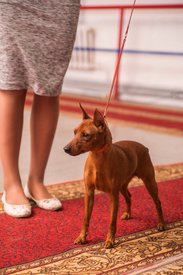 C96DC79A-B17C-461F-B794-6867CD739F56.jpeg (186.01 КБ, Просмотров: 6262) C96DC79A-B17C-461F-B794-6867CD739F56.jpeg