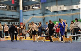 20180502_113521.jpg (534.43 КБ, Просмотров: 7064) 20180502_113521.jpg