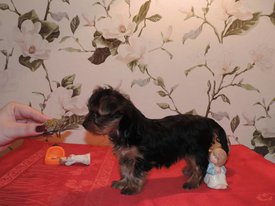 image (4).jpg (107.34 КБ, Просмотров: 1433) image (4).jpg