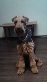 20180520_193945_.jpg (20.12 КБ, Просмотров: 10471) 20180520_193945_.jpg