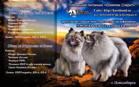 FiO_reklama_rus_n.jpg (345.74 КБ, Просмотров: 2165) FiO_reklama_rus_n.jpg