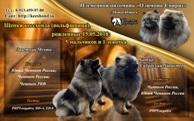 BiD_reklama_rus_n.jpg (278.17 КБ, Просмотров: 2164) BiD_reklama_rus_n.jpg