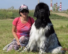 шеки 8).jpg (174.14 КБ, Просмотров: 3301) шеки 8).jpg