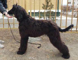 image (3).jpg (193.96 КБ, Просмотров: 2204) image (3).jpg