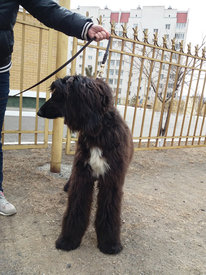 image (5).jpg (260.76 КБ, Просмотров: 2044) image (5).jpg