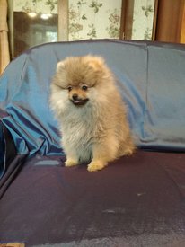 1.jpg (65.26 КБ, Просмотров: 1902) 1.jpg