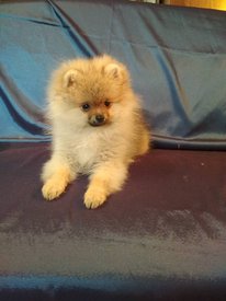 2.jpg (64.43 КБ, Просмотров: 1902) 2.jpg