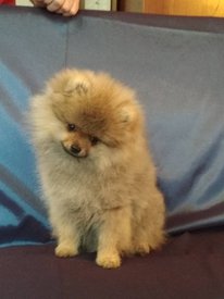 3.jpg (45.72 КБ, Просмотров: 1902) 3.jpg