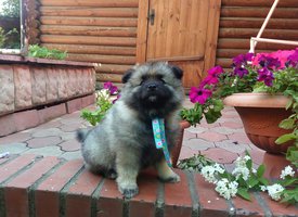 G_20180624_220317_111.jpg (667.23 КБ, Просмотров: 1939) G_20180624_220317_111.jpg