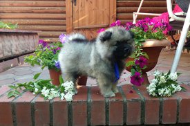 S_20180624_214655_111.jpg (625 КБ, Просмотров: 1939) S_20180624_214655_111.jpg