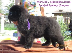 IMG_0517_LI.jpg (634.51 КБ, Просмотров: 3615) IMG_0517_LI.jpg